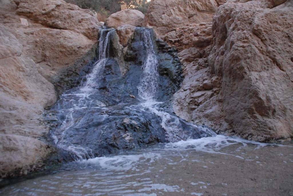 Ein Gedi Rooms Neve Zohar Exterior foto